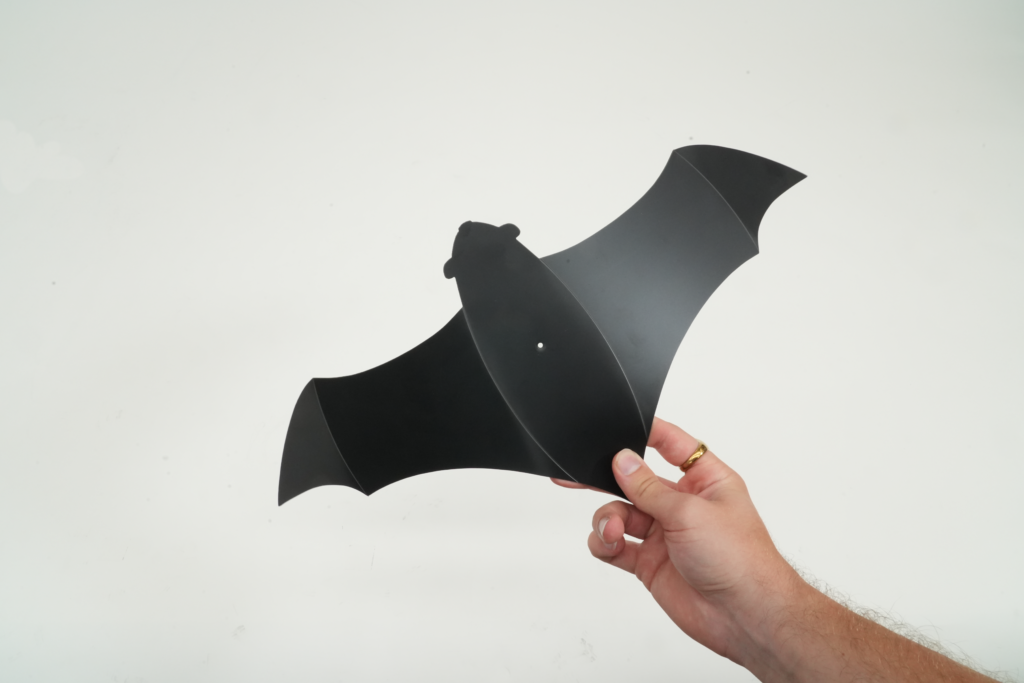 A Customer Asked Us to Put Bats In Their Store?! - Modernistic